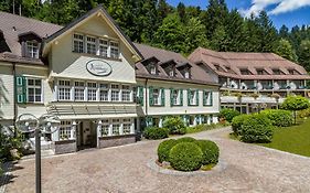 Waldhotel Bad Sulzburg 4*